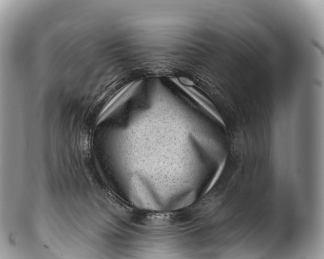 X0000100380084200806201700