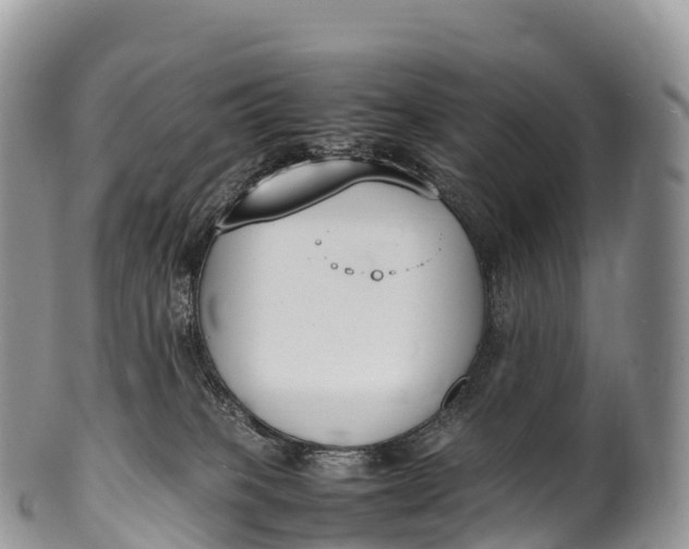 X0000100380085200806201700