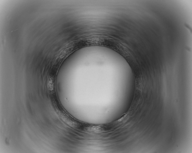 X0000100380086200806201700