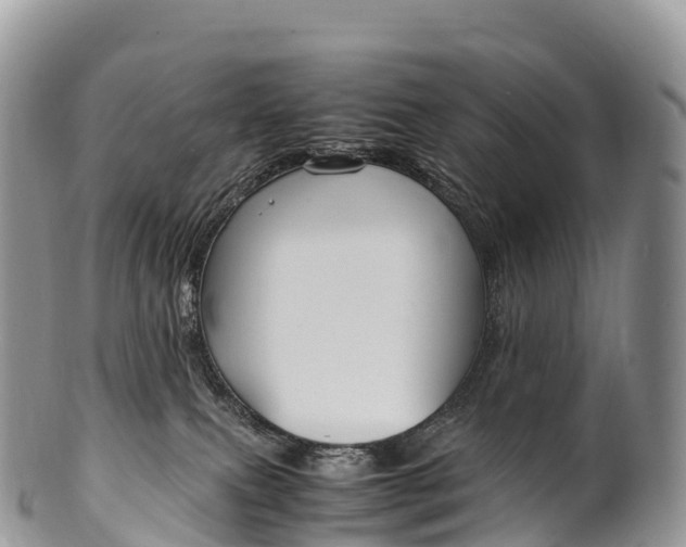 X0000100380087200806201700
