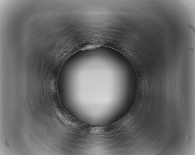 X0000100380088200806201700