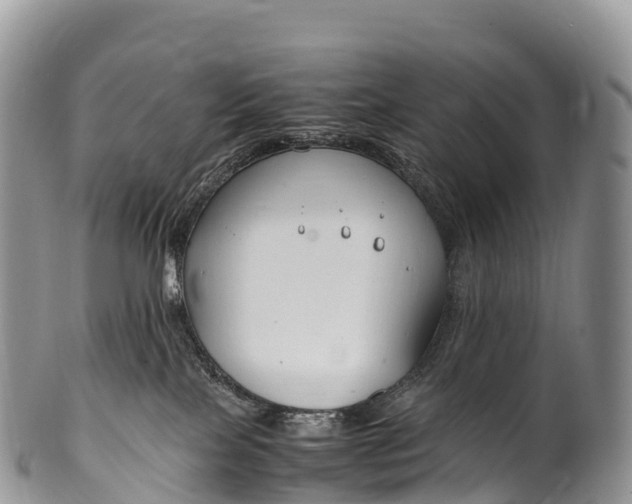 X0000100380089200806201701