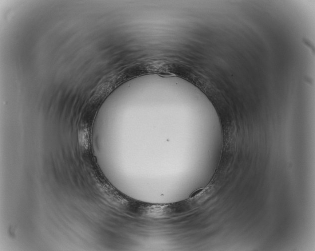 X0000100380090200806201701