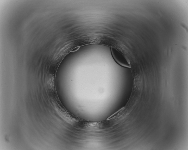 X0000100380092200806201701