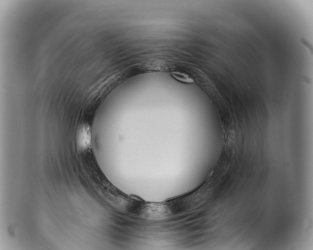 X0000100380095200806201701