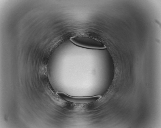 X0000100380096200806201701