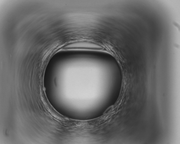 X0000100380097200806201700