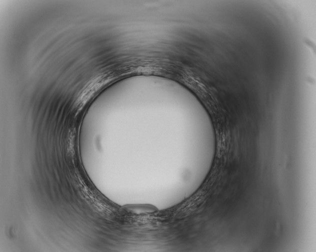 X0000100380098200806201700
