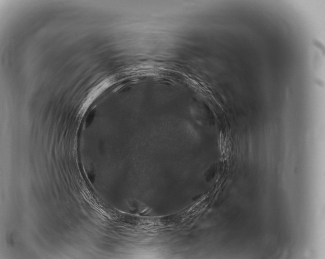 X0000100380099200806201700