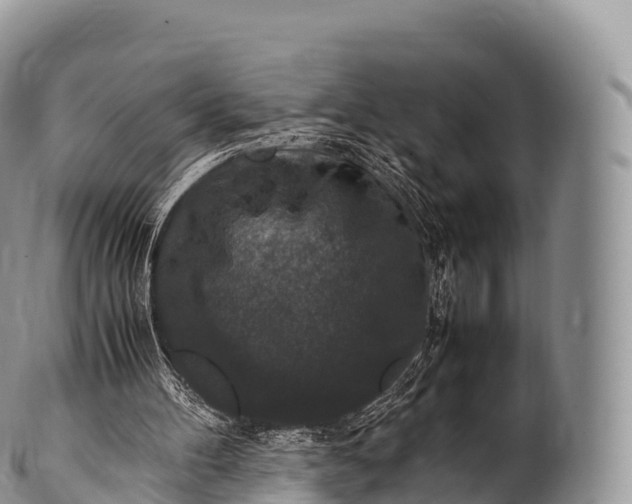 X0000100380100200806201700
