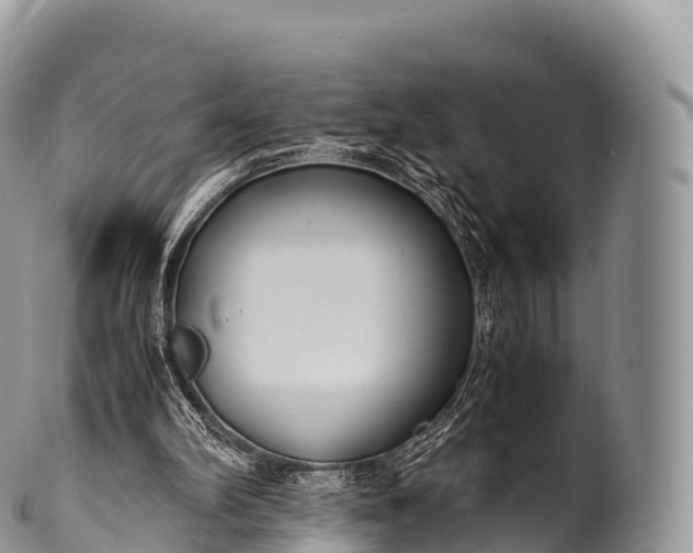 X0000100380102200806201700