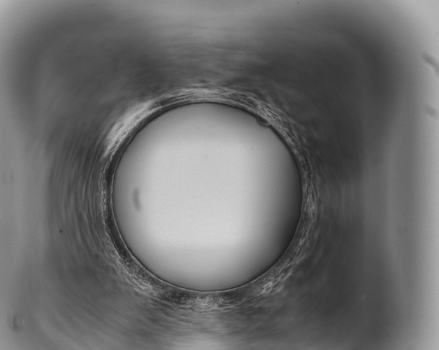 X0000100380103200806201700