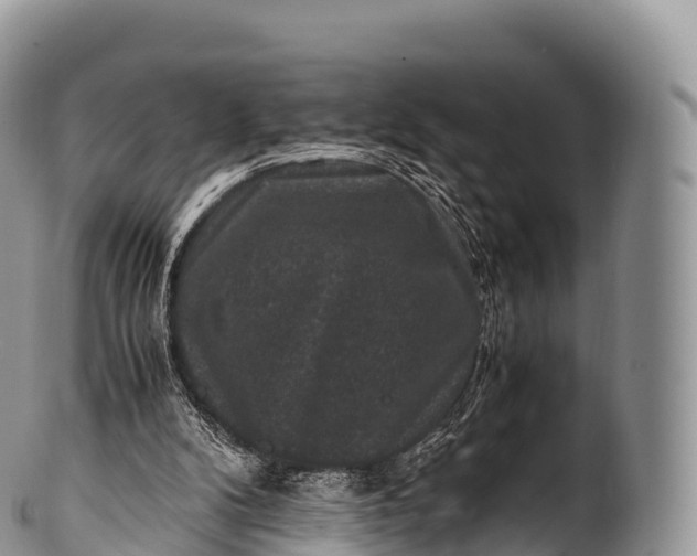 X0000100380104200806201700
