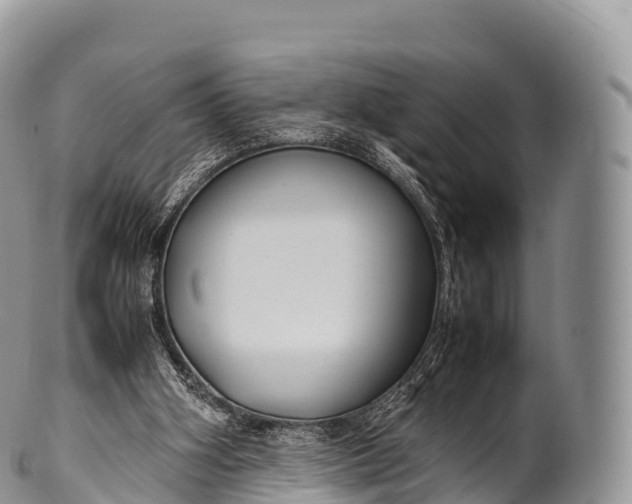 X0000100380106200806201700