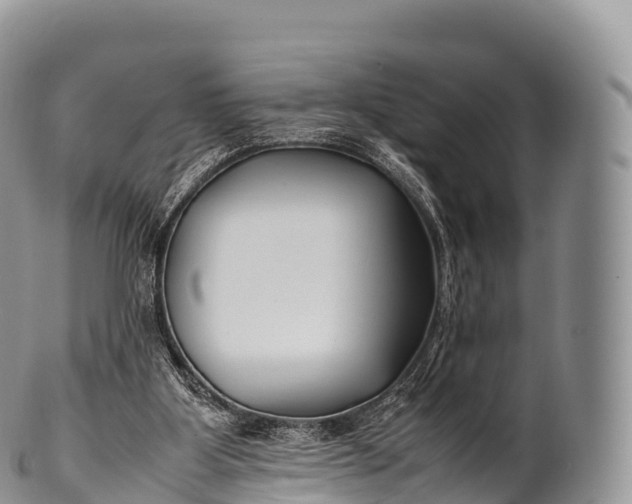 X0000100380107200806201700