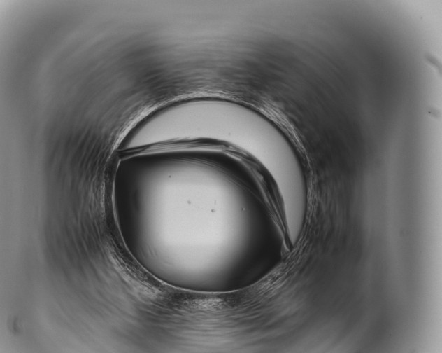 X0000100380108200806201700