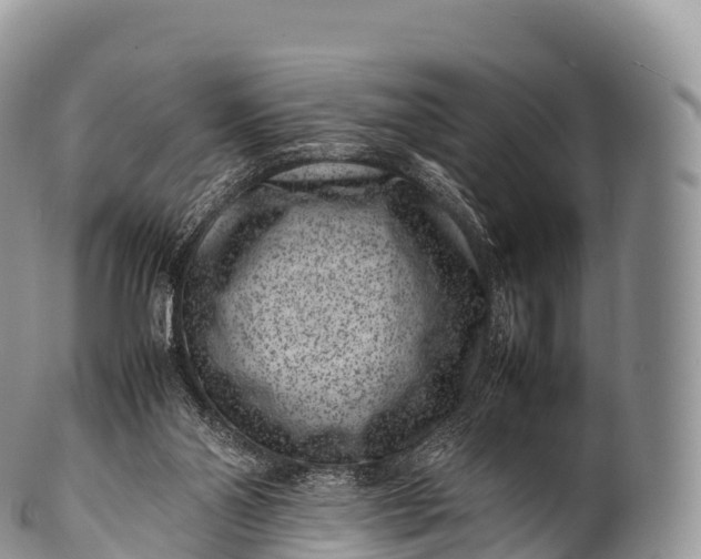 X0000100380110200806201700