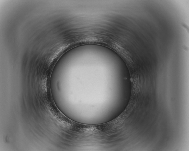 X0000100380112200806201700