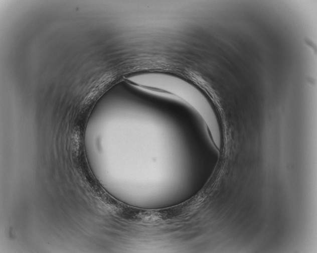 X0000100380113200806201700