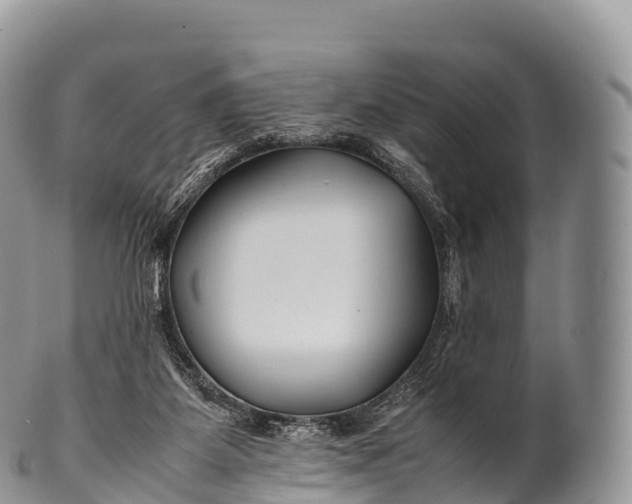 X0000100380115200806201659