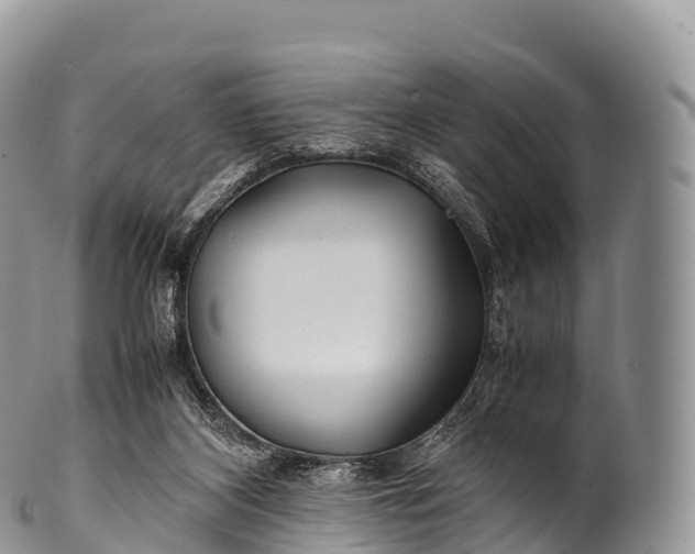 X0000100380116200806201659