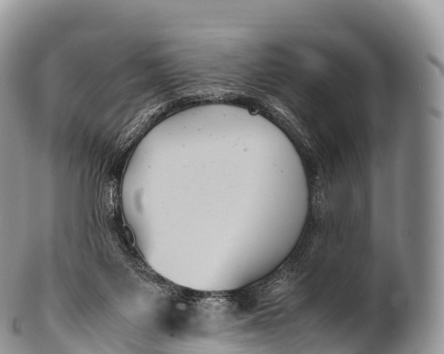X0000100380119200806201659