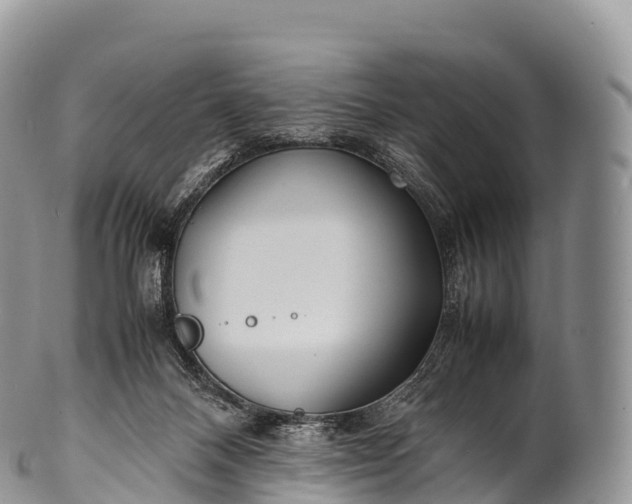 X0000100380120200806201659