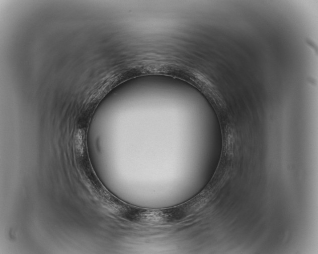 X0000100380121200806201659