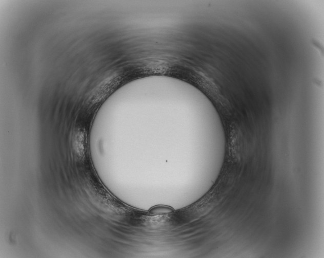 X0000100380122200806201659