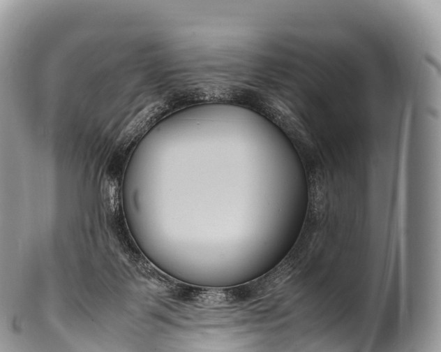 X0000100380123200806201659