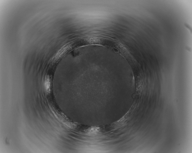 X0000100380124200806201659