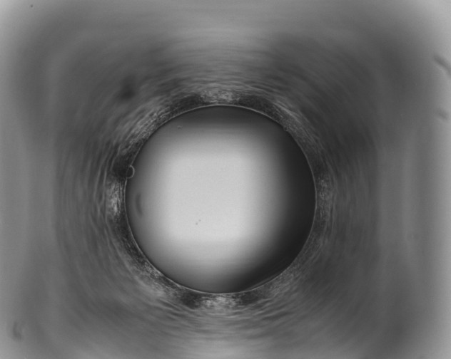 X0000100380125200806201659
