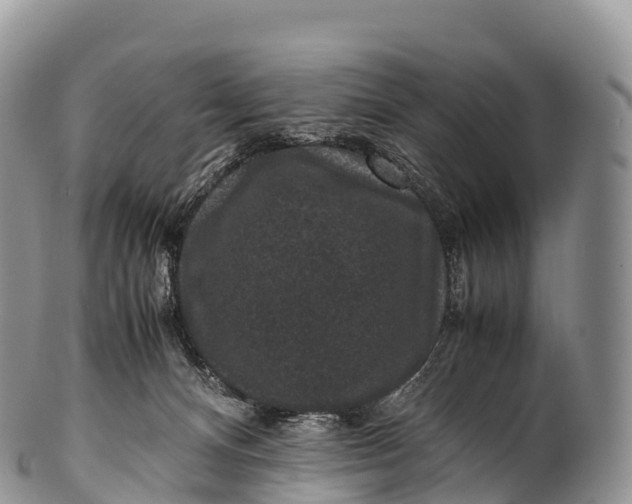 X0000100380128200806201659