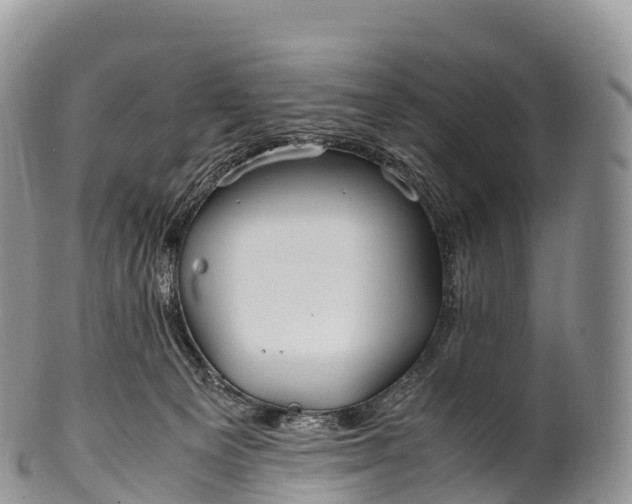 X0000100380129200806201659