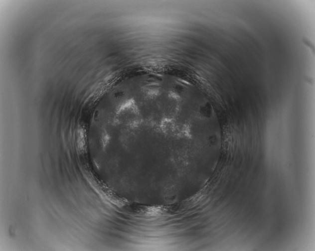 X0000100380130200806201659