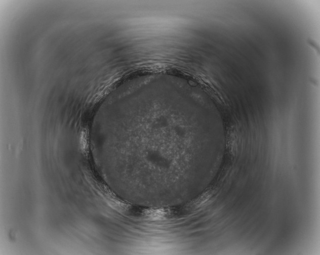 X0000100380131200806201659