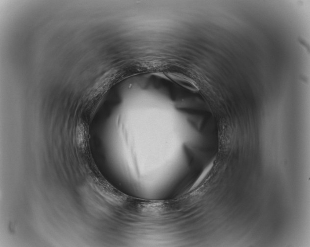 X0000100380132200806201659