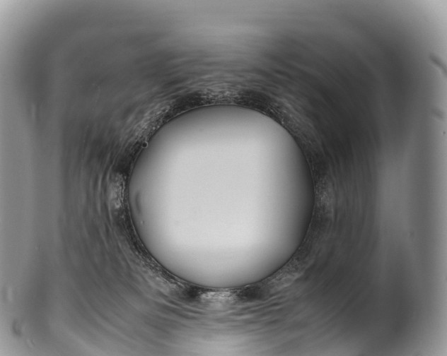 X0000100380133200806201659