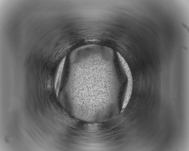 X0000100380134200806201659
