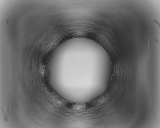 X0000100380135200806201659