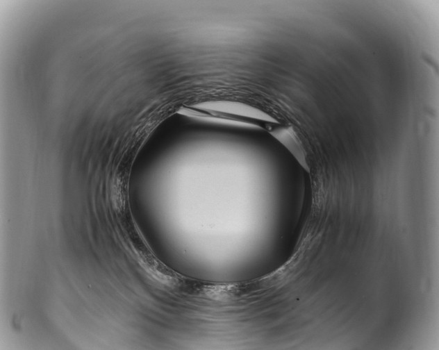 X0000100380136200806201659