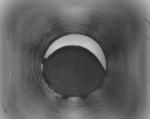 X0000100380137200806201659
