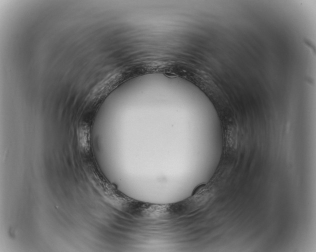 X0000100380138200806201659