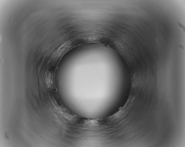X0000100380140200806201659