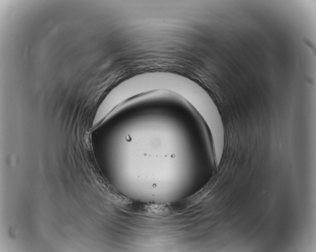 X0000100380141200806201659