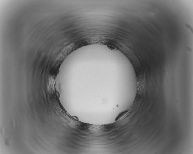 X0000100380142200806201659