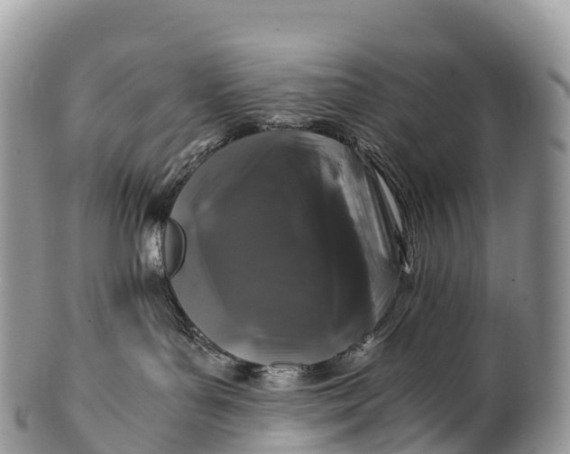 X0000100380143200806201659