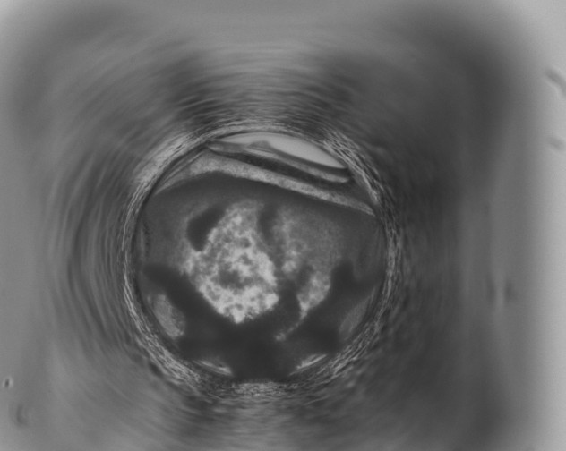 X0000100380145200806201658