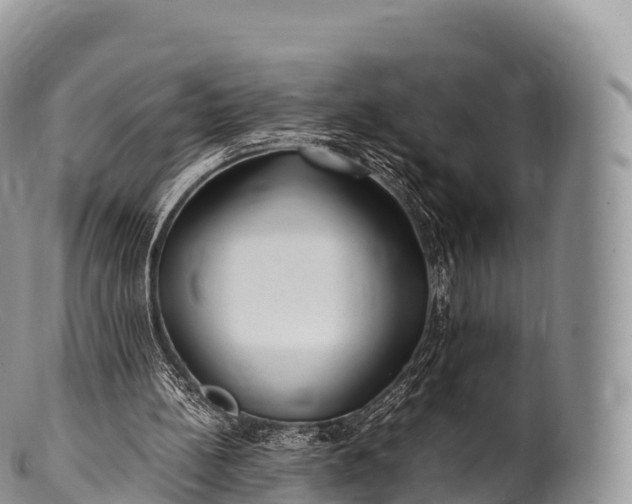 X0000100380148200806201658