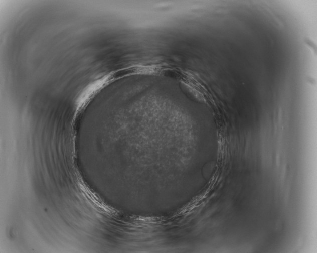 X0000100380149200806201658